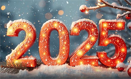 С Новым 2025 годом !!!